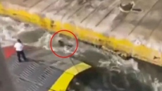 Δολοφονία στο Blue Horizon: «Πήρε προαγωγή ο κεντρικός λιμενάρχης Πειραιά» λέει η ΠΕΝΕΝ - Διαψεύδει ο Μαρινάκης