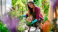 Κηπουρική: Το φυσικό αγχολυτικό που γυμνάζει και προστατεύει το μυαλό