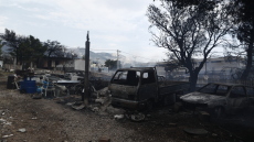 Πάρνηθα: Το Κοινωφελές Ίδρυμα Αθανάσιος Κ. Λασκαρίδης συνδράμει στην αναδάσωση πάνω από 11.000 καμένων στρεμμάτων 