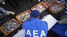 Φουκουσίμα: Δείγμα ψαριών έλαβε ο ΙΑΕΑ για την εξέταση των υδάτων που απορρίπτει ο πυρηνικός σταθμός