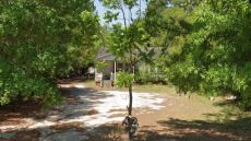 Πυροβολισμοί στη Βόρεια Καρολίνα - Εντοπίστηκαν πέντε νεκροί σε σπίτι