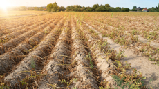 Κλιματική αλλαγή: Παγκόσμια ανησυχία για την ξηρασία - Πάμε σε όλο και πιο θερμά έτη, προειδοποιούν οι ειδικοί