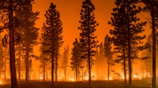 Καλιφόρνια: Εφαρμόζει την πρακτική των Ινδιάνων της Αμερικής και πολεμά τη φωτιά με... φωτιά