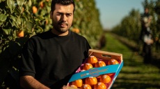 Λωτοί: Η οικογένεια Ραφαηλίδη επανέφερε στο Βέρμιο μια ξεχασμένη καλλιέργεια της περιοχής