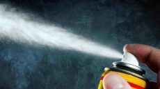 Ανθεκτικοί στα εντομοκτόνα οι κοριοί στην Ελλάδα - Πού οφείλεται η εξάπλωσή τους στην Ευρώπη