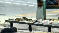 Ατλάντα: Γυναίκα με παλαιστινιακή σημαία αυτοπυρπολήθηκε έξω από το ισραηλινό προξενείο