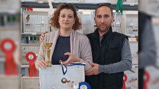 Ξεκίνησε με ένα ζευγάρι καναρίνια και τώρα έχει 50! - Τι λέει ο εκτροφέας που κέρδισε βραβείο σε πανελλήνιο διαγωνισμό