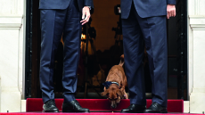 Επίσκεψη Ερντογάν στην Αθήνα: Υπό το βλέμμα του Πίνατ η χειραψία με τον Μητσοτάκη στο Μαξίμου