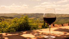 Το Cabernet Sauvignon της Μεσσηνίας: Ένα χρονικό οδοιπορικό και μια τυφλή γευσιγνωσία