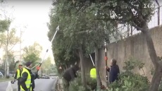 Ζωγράφου: Μετά τη βόμβα κοντά στην έδρα των ΜΑΤ κλαδεύουν τα δέντρα που δημιουργούσαν «τυφλά» σημεία στον περίβολο