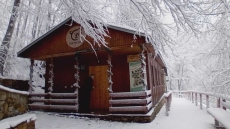 Αρκτούρος: Σε χειμερία νάρκη οι αρκούδες στο Νυμφαίο, πολύ νωρίτερα από κάθε χρονιά