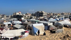 Γάζα: Τετράωρη παύση εχθροπραξιών στη Ράφα για «ανεφοδιασμό των αμάχων» ανακοίνωσαν οι IDF