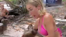 Μοντέλο από τη Γερμανία δέχθηκε επίθεση από μαϊμούδες στην Ταϊλάνδη - «Φοβήθηκα για τη ζωή μου»