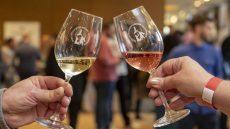 Τα κρασιά του Πελοποννησιακού αμπελώνα έρχονται για 16η χρονιά στην Αθήνα