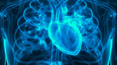 Κολπική μαρμαρυγή: Η σύνδεση με αυξημένο κίνδυνο άνοιας στη μέση ηλικία