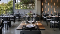 Βασίλαινας new era: Όταν γιακάδες, κοιλιές και κόκαλα ορίζουν το παιχνίδι