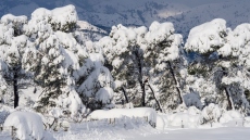  Εύβοια: Οικογένεια πήγαινε στα χιόνια και εγκλωβίστηκε