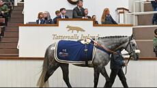 Ο Σερ Άλεξ Φέργκιουσον και οι συνεργάτες του πλήρωσαν €870.000 για την αγορά αλόγου ιπποδρομιών