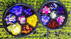 Οι «πιπεράτοι» βιοκαλλιεργητές που προμηθεύουν με λαχανικά και βρώσιμα λουλούδια τα μισελενάτα εστιατόρια