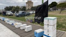 Διαμαρτυρία μελισσοκόμων στη Θεσσαλονίκη: Άπλωσαν άδειες κυψέλες στη Νέα Παραλία - Δείτε βίντεο