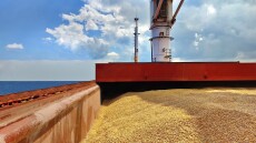 Πόλεμος στην Ουκρανία: Το Κίεβο στέλνει 500 τόνους σιτάλευρο στη Συρία, είπε ο Ζελένσκι