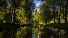 Γιατί λέμε όχι στα σοδόνερα και πίνουμε μόνο φυσικώς ανθρακούχο νερό