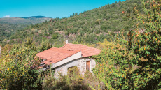 Στασινός για τα εκτός σχεδίου: Πρέπει να ζούμε στην πραγματικότητα - Δεν μπορείς να «παίρνεις» ξαφνικά την περιουσία του πολίτη