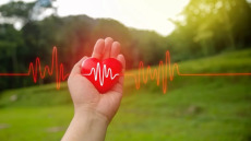 Υπερτροφική Μυοκαρδιοπάθεια: Τι πρέπει να γνωρίζουμε για τη συχνότερη γενετική καρδιοπάθεια