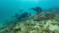 Έτσι θα γίνεται η οργανωμένη επίσκεψη στα ναυάγια της Αλοννήσου και του δυτικού Παγασητικού  - Φωτογραφίες