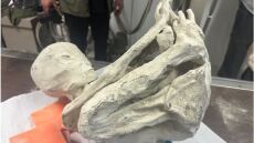 Μυστήριο με «μούμιες» που έχουν τρία δάχτυλα 