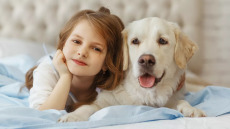 Ο πιστός σύμμαχος ατόμων με αυτισμό και επιληψία – Βελτιώνει τον ύπνο και μειώνει τις κρίσεις