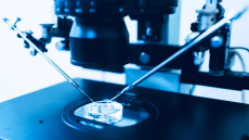 Δημιουργείται η πρώτη τράπεζα γονιμότητας για αγόρια στην προεφηβεία – Τι πρέπει να ξέρουμε