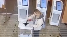 Εκλογές στη Ρωσία: Κυβερνοεπίθεση σε εκλογικά τμήματα της Σιβηρίας - Γυναίκα πέταξε μπογιά σε κάλπη στη Μόσχα