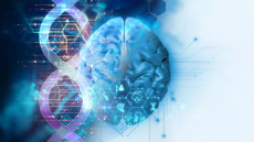 Νόσος Αλτσχάιμερ: Νέο γονιδιακό μονοπάτι δίνει ελπίδες για εύρεση θεραπείας – Έρευνα με συμμετοχή Ελληνίδας νευροβιολόγου