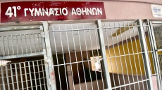 Κυψέλη: «Δεν ξέρω πόσες φορές με χτύπησε» λέει ο 17χρονος μαθητής που δέχθηκε επίθεση με σφυρί σε σχολείο