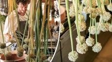 Από το χωράφι και τον βυθό στο πιάτο: η farm to table εμπειρία πάνω στη θάλασσα