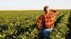 Κόκκινα δάνεια: Τι περιλαμβάνει η ρύθμιση για τους αγρότες - Κατατέθηκε το νομοσχέδιο