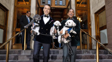 Ντον Λέμον: Ο παρουσιαστής που απέλυσε το CNN παντρεύτηκε τον καλό του, παρέα με τα τρία σκυλιά τους