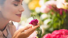 Τέσσερα βότανα «σύμμαχοι» της καρδιάς ρίχνουν τη χοληστερόλη, μειώνουν το στρες και διώχνουν τη θλίψη