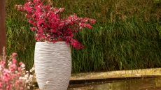 Μια υπέροχη, «πράσινη» ιστορία καινοτομίας και εξέλιξης