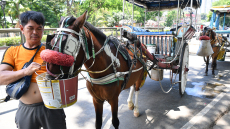 Κύμα ακραίας ζέστης στη Νοτιοανατολική Ασία: Στο Μπανγκλαντές προσεύχονται να βρέξει, στην Ταϊλάνδη κλείστηκαν στα σπίτια τους