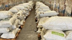 Επιχείρηση της ΑΑΔΕ στον Πειραιά: Βρήκαν φύλλα κοκαΐνης σε φορτία λιπασμάτων από το Εκουαδόρ