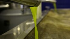 Έκλεψε πάνω από 800 κιλά ελαιόλαδο και 35 κιλά μέλι από αποθήκες στην Αττική, συνελήφθη 48χρονος 