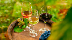 Αφιέρωμα: O χάρτης του ελληνικού κρασιού 2024 - Σπουδαία λευκά και ροζέ από τη Στερεά Ελλάδα