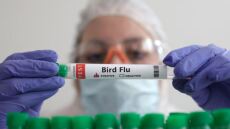 Μαγιορκίνης: Πώς προσβάλλει τον οργανισμό η γρίπη των πτηνών και πόσο πιθανό είναι να προκαλέσει πανδημία