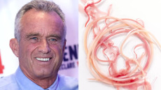 Απίστευτο: Ένα παρασιτικό σκουλήκι «έτρωγε» τον εγκέφαλο του Ρόμπερτ Κένεντι Jr – Πώς μολύνθηκε