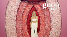 Gwyneth Paltrow, η βασίλισσα του wellness