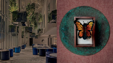 Delta: Τα γλυκά-γλυπτά της φύσης