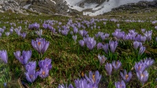 WWF: Μέρα γιορτής για τις 446 περιοχές Νatura της Ελλάδας - Δείτε βίντεο και φωτογραφίες