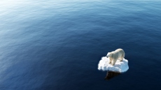 Κλιματική αλλαγή: Η Συμφωνία του Παρισιού δεν αρκεί για να σωθούν οι ωκεανοί - Τι πρέπει να κάνουν οι χώρες